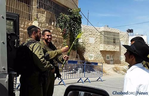 Providing soldiers with the opportuity to shake the lulav and the etrog during Sukkot.