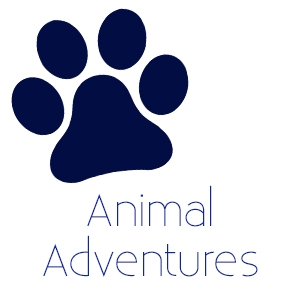 animal adventures.jpg