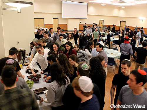 At the banquet: Enjoying refreshments, good company and a job well done. (Photo: Chabad of Binghamton/D. Grafman)