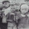 O Holocausto e os Direitos Humanos: