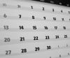 Shul Bayside Calendar