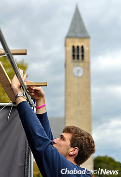 Putting up a sukkah on campus (Photo: Chabad on Campus International)