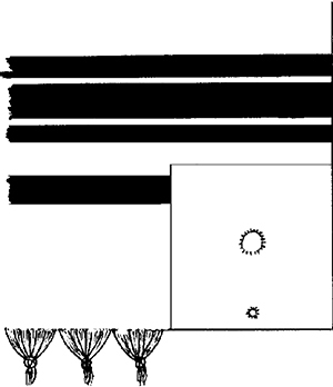 Fig. 5: Corner of tallis gadol (See sec. 11:18 and 11:34.)