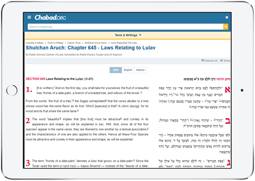 According to Rabbi Yonah Avtzon, executive director of SIE publications, “having a work of this magnitude available in English for the first time online is yet another step in our commitment to making core Jewish and Chassidic texts accessible to Jews around the world.”