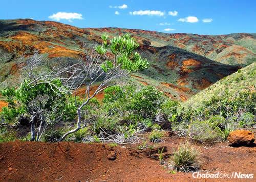 A typical landscape from the south of New Caledonia. The red-orange color of the rocks comes from the soil, which is rich in metal oxides. (Photo: Wikimedia Commons)